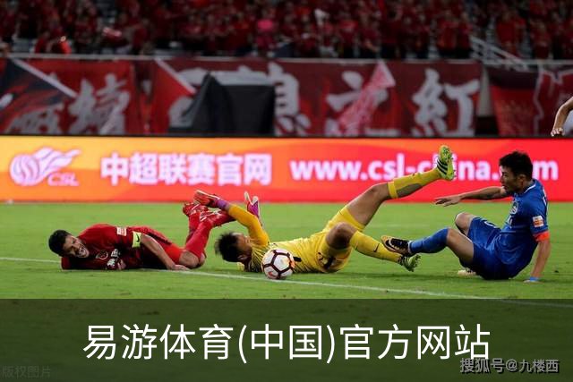 易游体育(中国)官方网站公司简介
